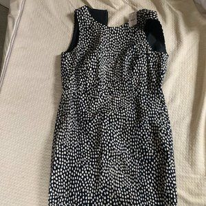 NWT - J Crew Navy White Polka dot Dress